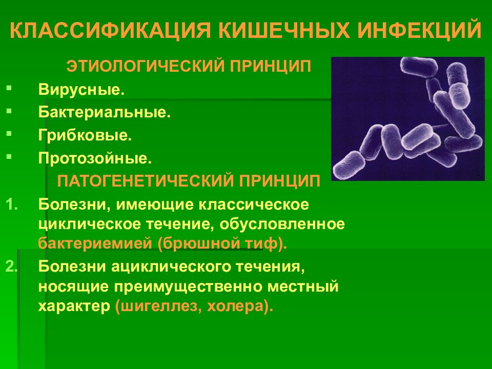 Инфекционные болезни патанатомия презентация