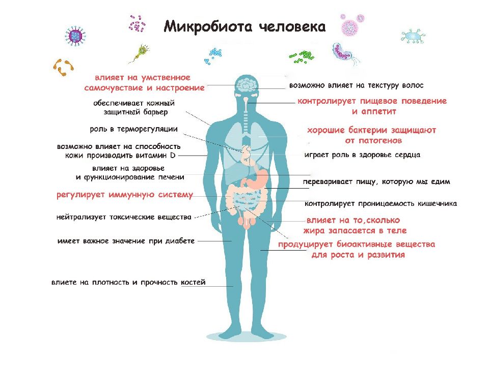 Биотопы человека. Микробиота человека. Микробиота организма человека. Микробиота тела человека. Микрофлора тела человека схема.