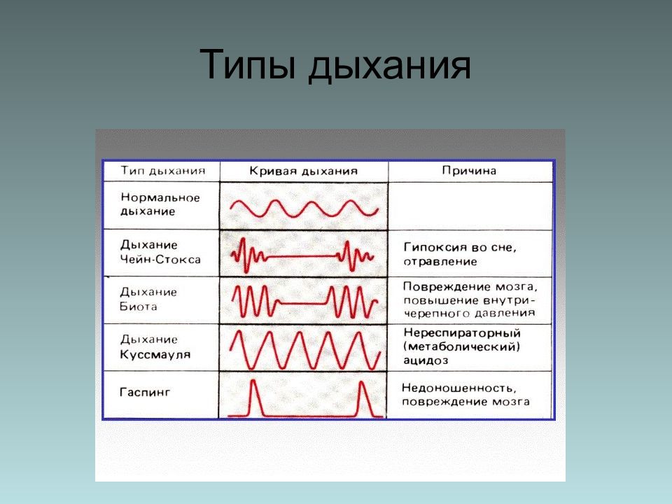 Ритм дыхания. Типы дыхания. Типы дыхания у человека. Смешанный Тип дыхания. Нормальный Тип дыхания.