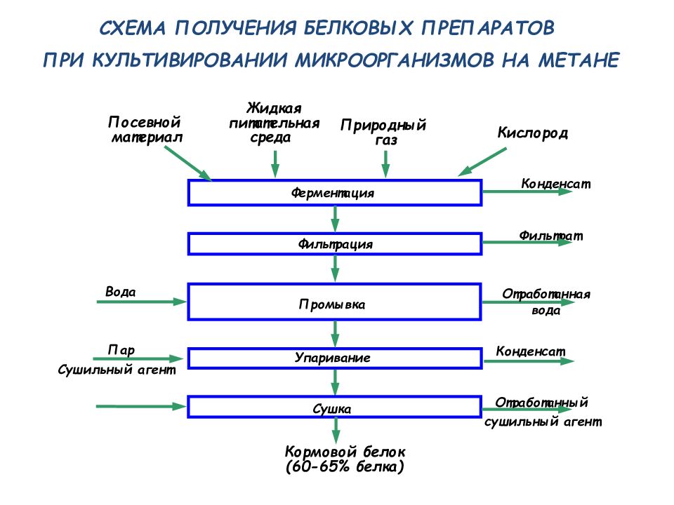 Производственные питательные среды в биотехнологической схеме получения лекарственных препаратов