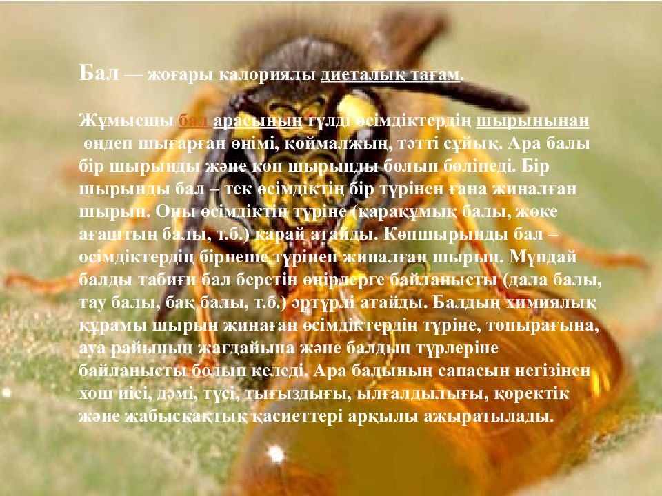 Башҡорт балы презентация. Башкорт балы презентация. Башкорт балы презентация. Сочинение башкорт балы. Башҡорт балы презентация.