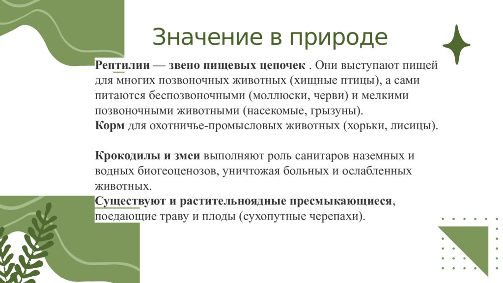 Общая характеристика пресмыкающихся