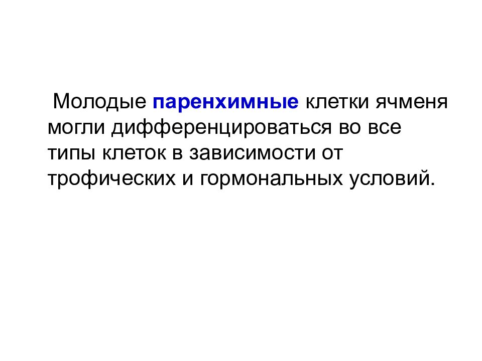 Клеточная биотехнология в растениеводстве презентация