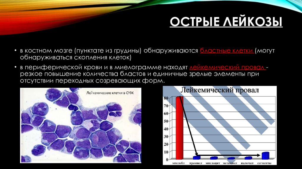 Острый и хронический лейкоз презентация