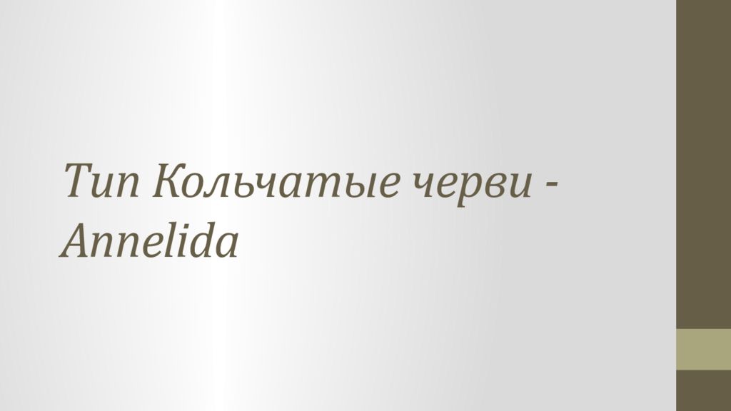 Тип Кольчатые черви - Annelida