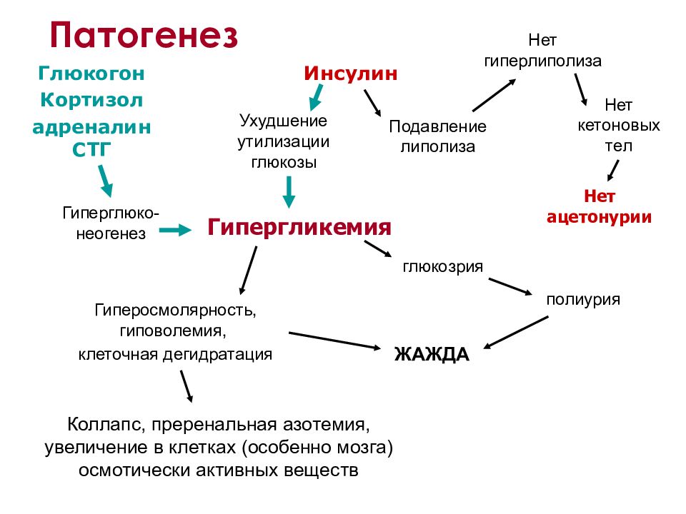 Гипергликемию вызывают гормоны