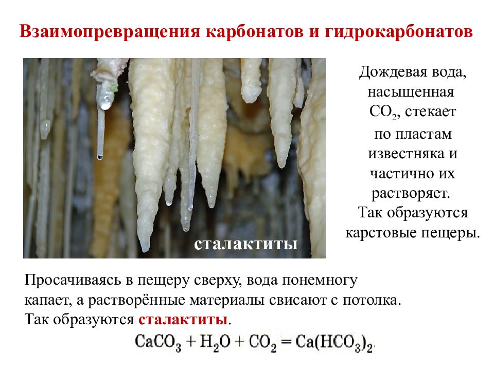 Соли угольной кислоты гидрокарбонаты. Взаимопревращение карбонатов и гидрокарбонатов. Карбонаты и гидрокарбонаты. Реакция образования сталактитов. Превращение карбонатов в гидрокарбонаты.