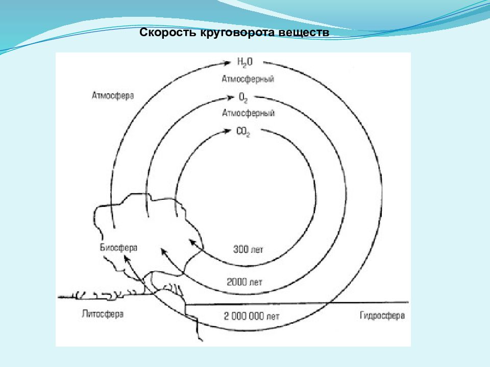 Живое вещество и биогеохимические круговороты в биосфере презентация 11 класс