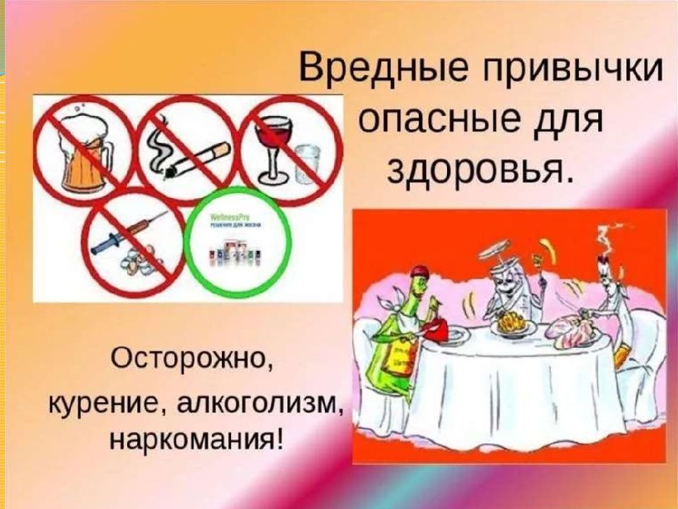 Полезные и вредные привычки проект