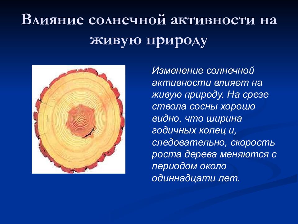 Что такое годичное кольцо. Влияние солнечной активности на природу. Влияние солнечной активности на живую природу. Годичные кольца ширина. Влияние условий жизни на рост дерева в толщину.