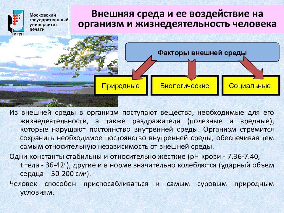 Обеспечить защиту проекта от возможного негативного влияния внешних и внутренних факторов это цель