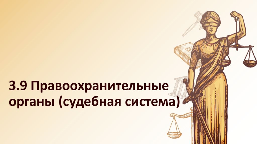 3.9 Правоохранительные органы (судебная система)