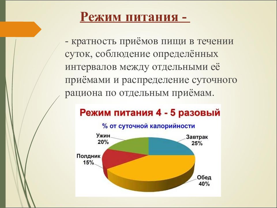 Режим питания презентация по анатомии