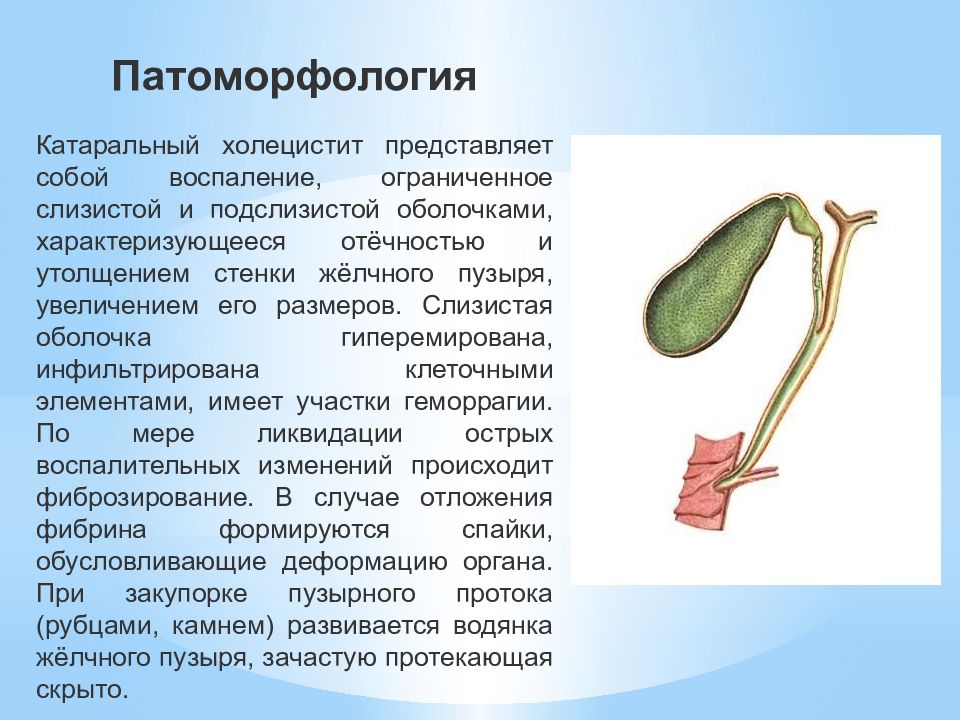 Острый и хронический холецистит презентация