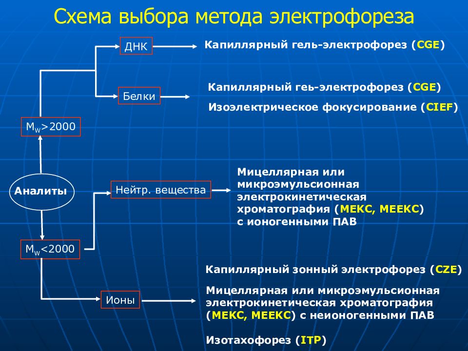 Метод капиллярного электрофореза основные принципы и схемы реализации