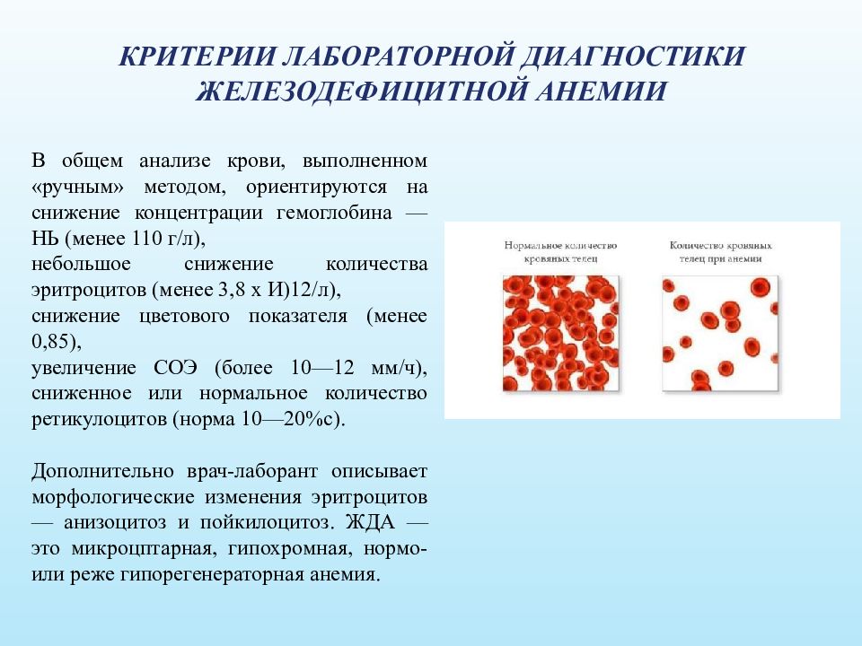 Анемия 90 гемоглобин. Исследование крови при анемии. Железодефицитная анемия лейкоцитарная формула.