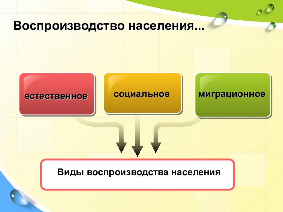 Естественное воспроизводство населения