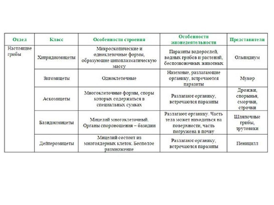 СИСТЕМАТИК А ГРИБОВ Работу выполнили Скачков В и