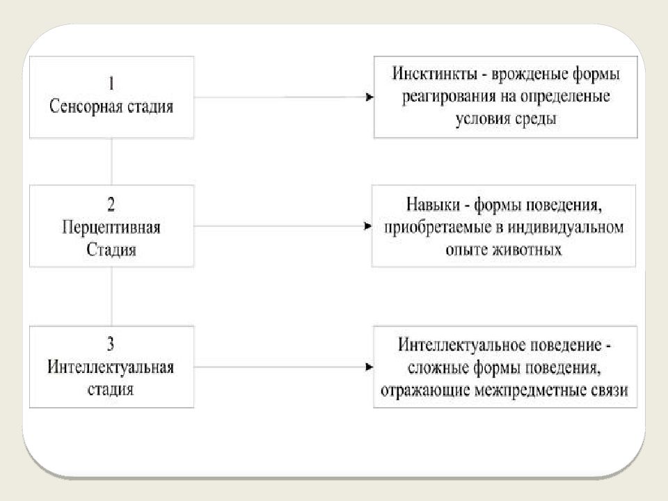 Сенсорная стадия развития психики животных. Этапы сенсорного процесса. Этапы сенсорного преобразования. Соотношение распада и развития психики..