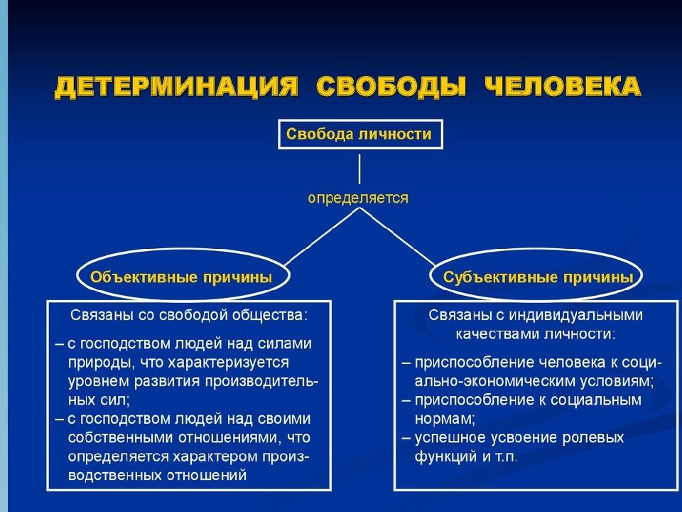 Проект свобода человека