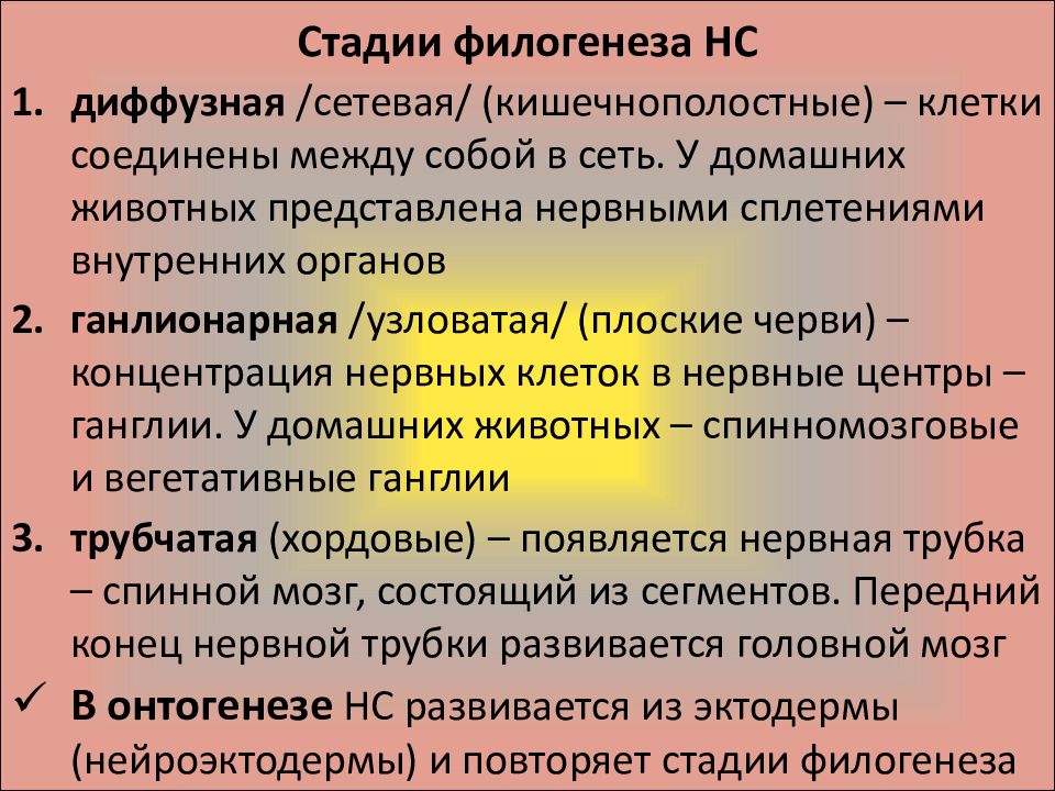 Общая характеристика нервной системы презентация