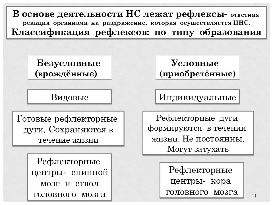 Внд подготовка к егэ презентация