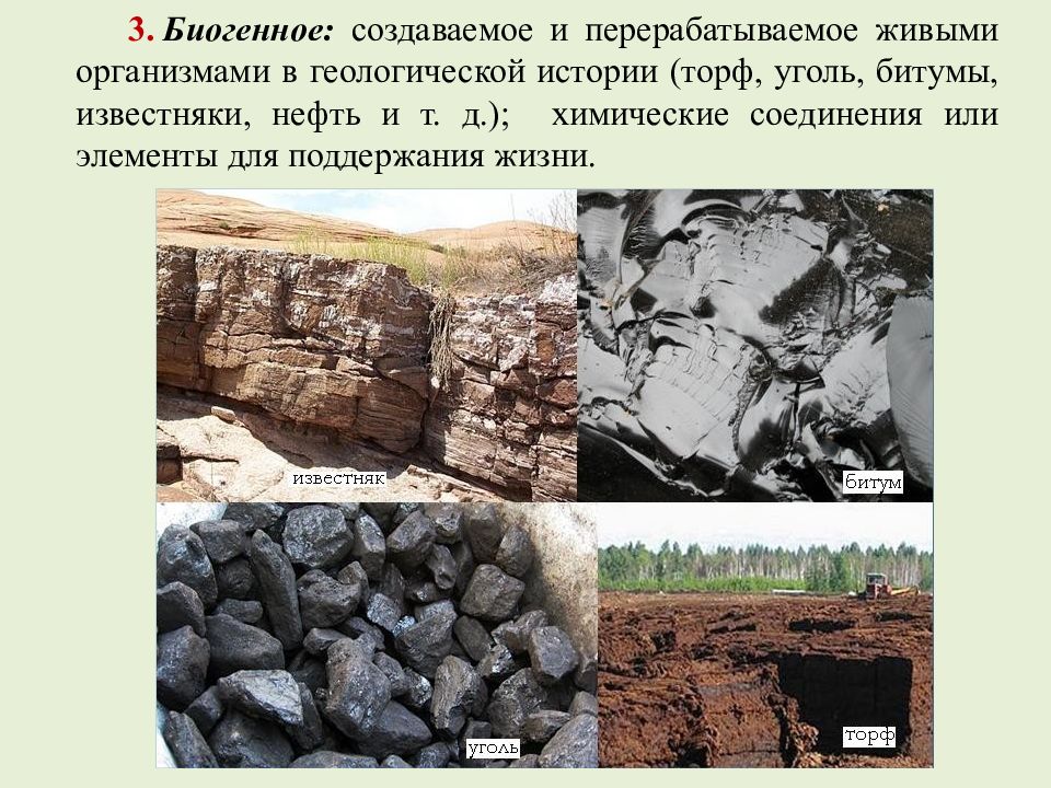 Процесс образования какой органической горной породы показан на рисунке нефть уголь торф