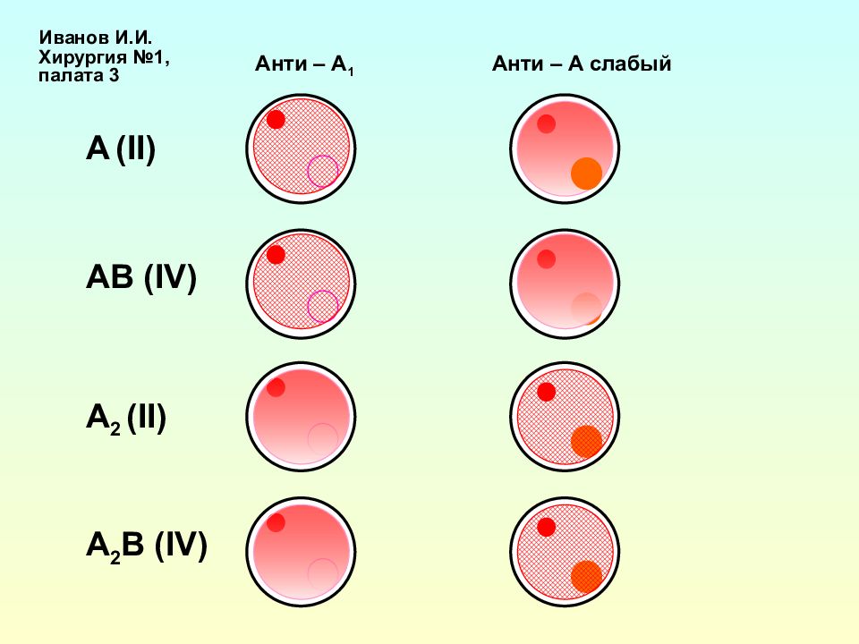 Группа крови ав это какая. Группы крови 2 + 4 группа. Цоликлоны анти резус. 3 Группа крови агглютинация. Группа крови a2b IV.