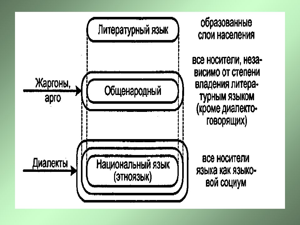 Системы языковых элементов внутри языка. Структура языка. Система и структура языка. Структура языковой системы. Уровневая структура языка.