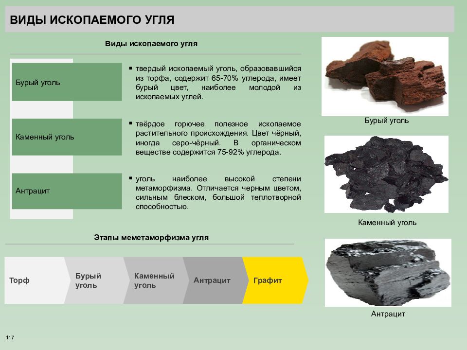 Уголь какое ископаемое