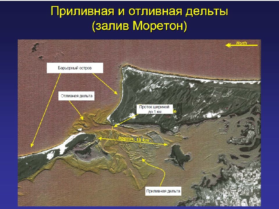 Приливно отливная деятельность морей. Морские россыпи. Прибрежно-морской Морфоседиментогенез.