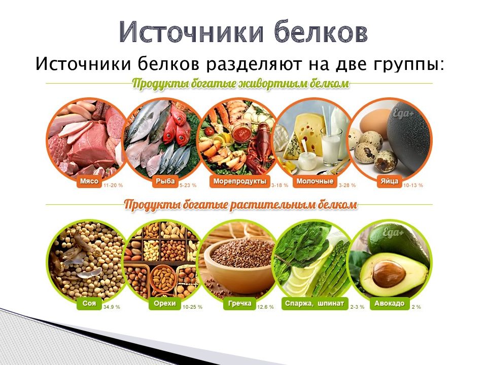 Теле продукт. Продукты на сушке. Питание для просушки тела. Питание при сушке. Рацион питания на сушке для девушек.