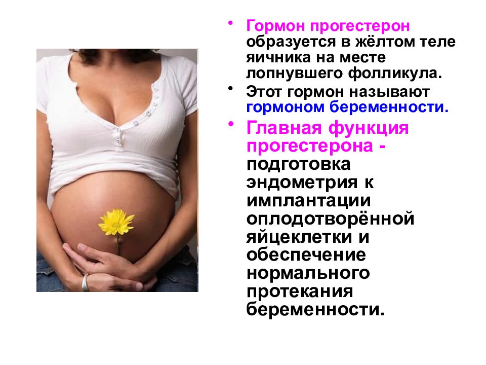 Что образуется в яичниках. Гормоны у беременных женщин. Гормон беременности называют. Гормон вырабатываемый в желтом теле яичника. Гормоны желтого тела беременности.