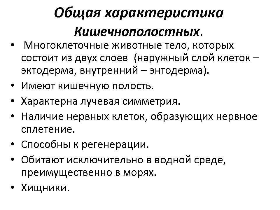 Тип кишечнополостные презентация 7 класс биология