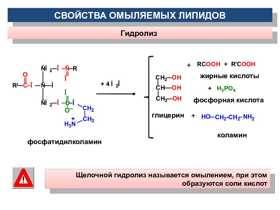 Продукт полного гидролиза