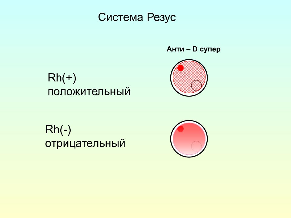 Система rh резус система. Агглютинация резус фактора. Определение резус фактора крови цоликлонами.