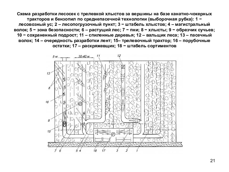 Размеры лесосек