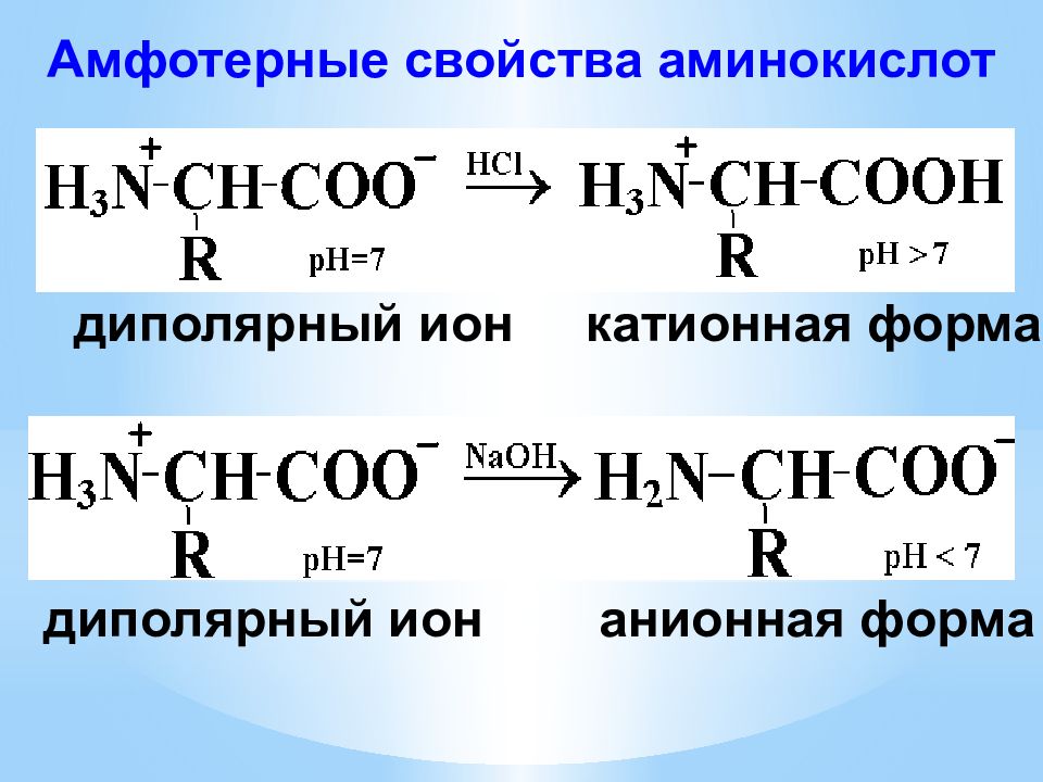 Аланин проявляет амфотерные свойства. Амфотерные свойства аминокислот. Диполярная форма аминокислоты.