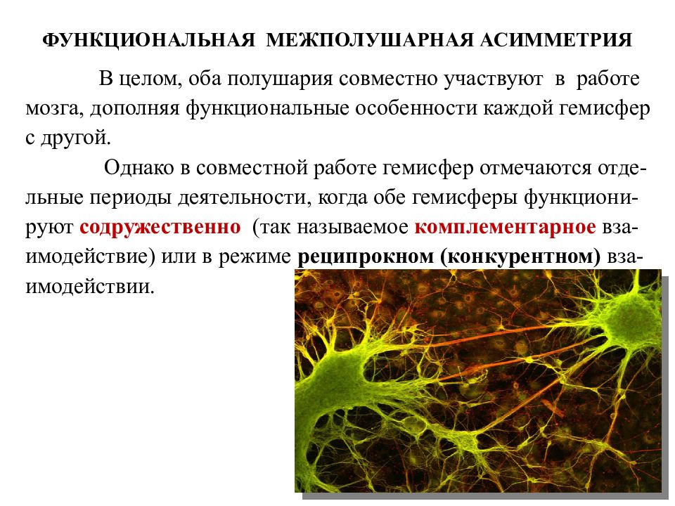 Презентация на тему асимметрия