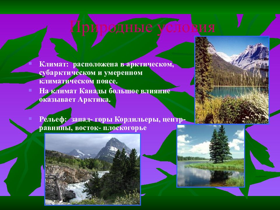 Климат найдись. Природные условия рельеф климат Канада. Субарктический пояс рельеф. Рельеф арктического климата. Умеренный климат Канада.