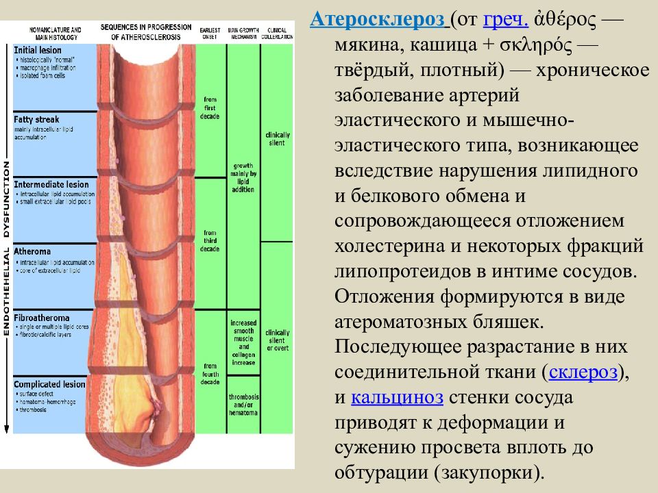 Хронические заболевания артерий. Семиотика поражения сердечно-сосудистой системы. Семиотика заболевание ССС. Лучевая семиотика заболеваний сердечно-сосудистой системы. Роль атеросклероза в патологии сердечно-сосудистой системы.