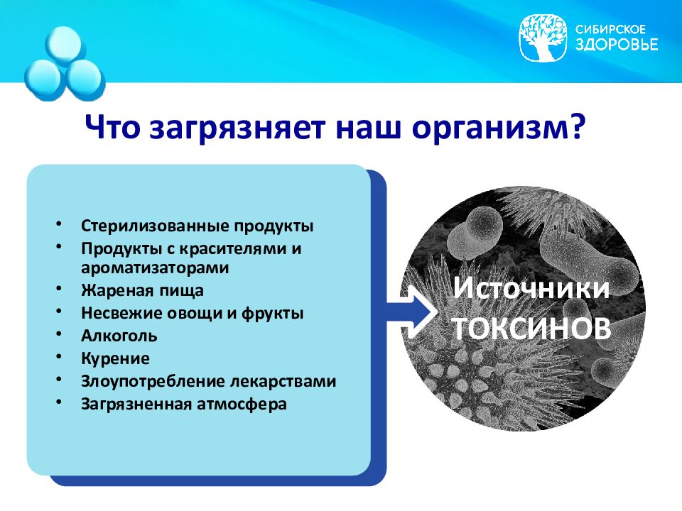 Загрязнение организма человека. Что загрязняет наш организм. Что щагрязняет НПГ организм. Источники токсинов. Источники токсинов в организме.