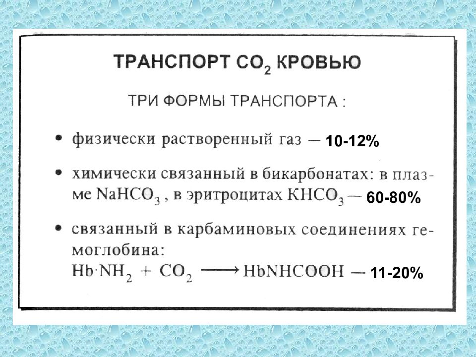 Дыхание задачи. Задачи регуляции системы дыхания.. Функциональная система дыхания.