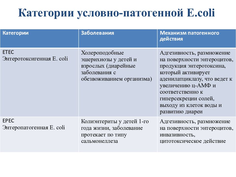 Хромая молли план пересказа