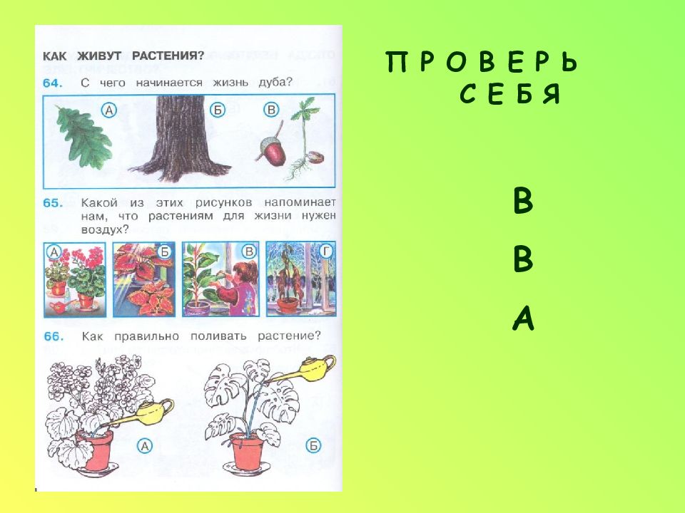 Презентация по окружающему миру 1 класс школа россии