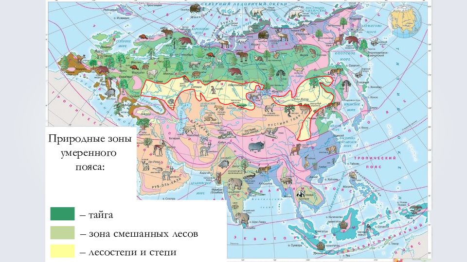 Северная евразия природная зона. Природа Евразии природные зоны. Разнообразие природы Евразии 7 класс. Природа Евразии 7 класс география. Природные регионы Евразии.
