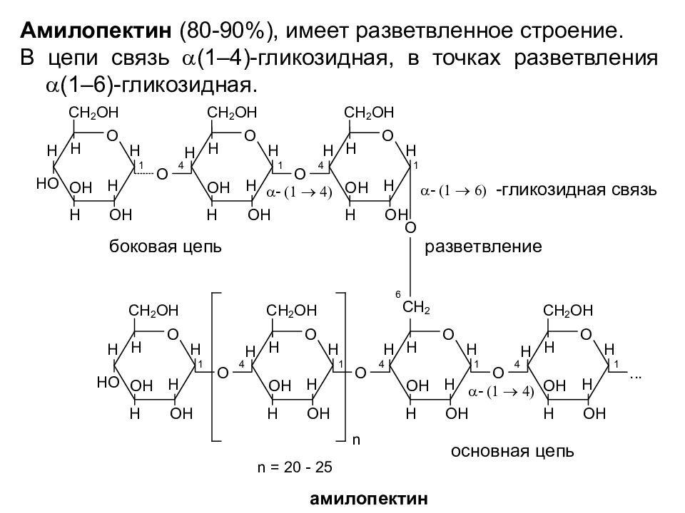 Структура цепи связи. Амилопектин структурная формула. Гидролиз амилопектина. Фрагмент амилопектина формула. Химическая структура амилопектина.