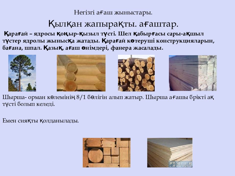 Хвойные породы характеристика. Породы древесины. Основные древесные породы. Древесина разных пород. Основные породы древесины.