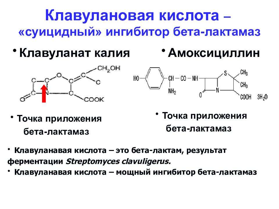 Амоксицилиновая группа антибиотиков. Клавулановая кислота. Амоксициллин клавулановая кислота. Ингибиторы бета лактамаз. Клавулановая кислота формула.