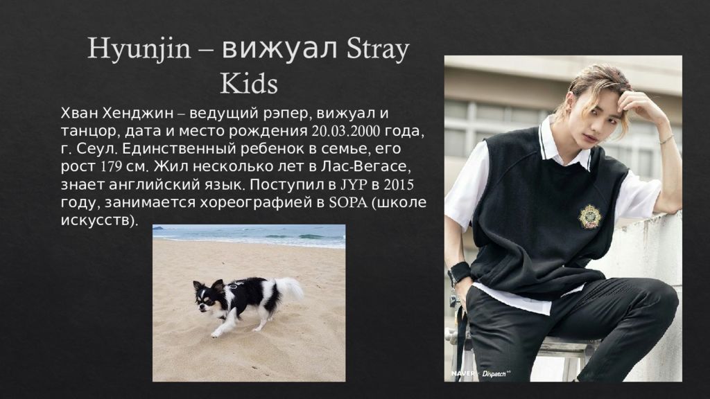 Stray kids презентация